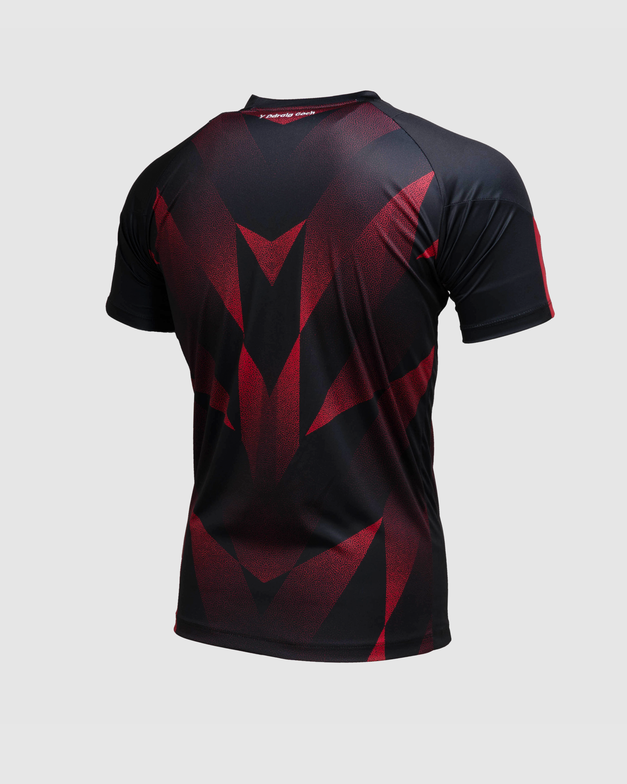 Wales RL 24/25 Quadrigo Tee Black/Red