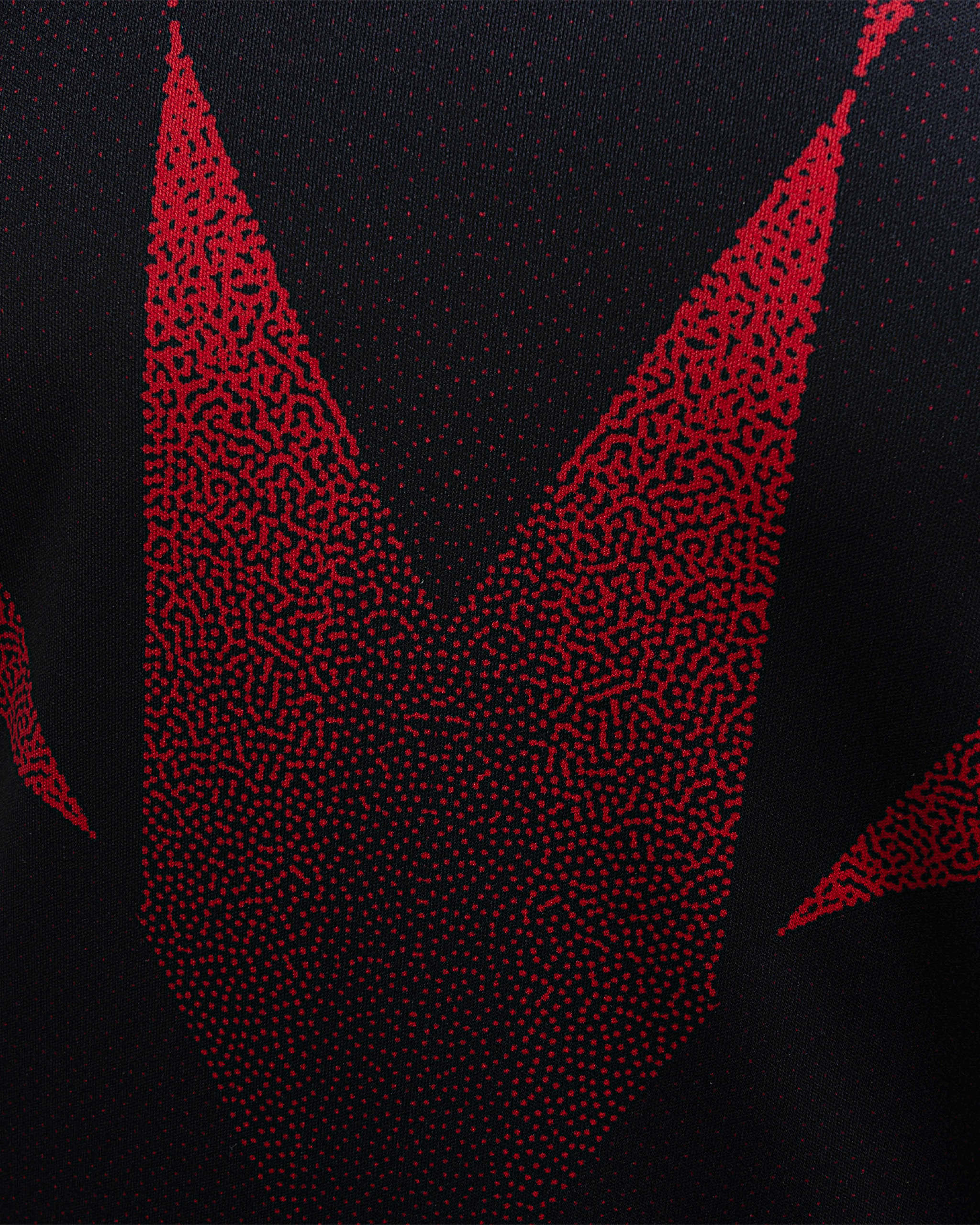 Wales RL 24/25 Quadrigo Tee Black/Red