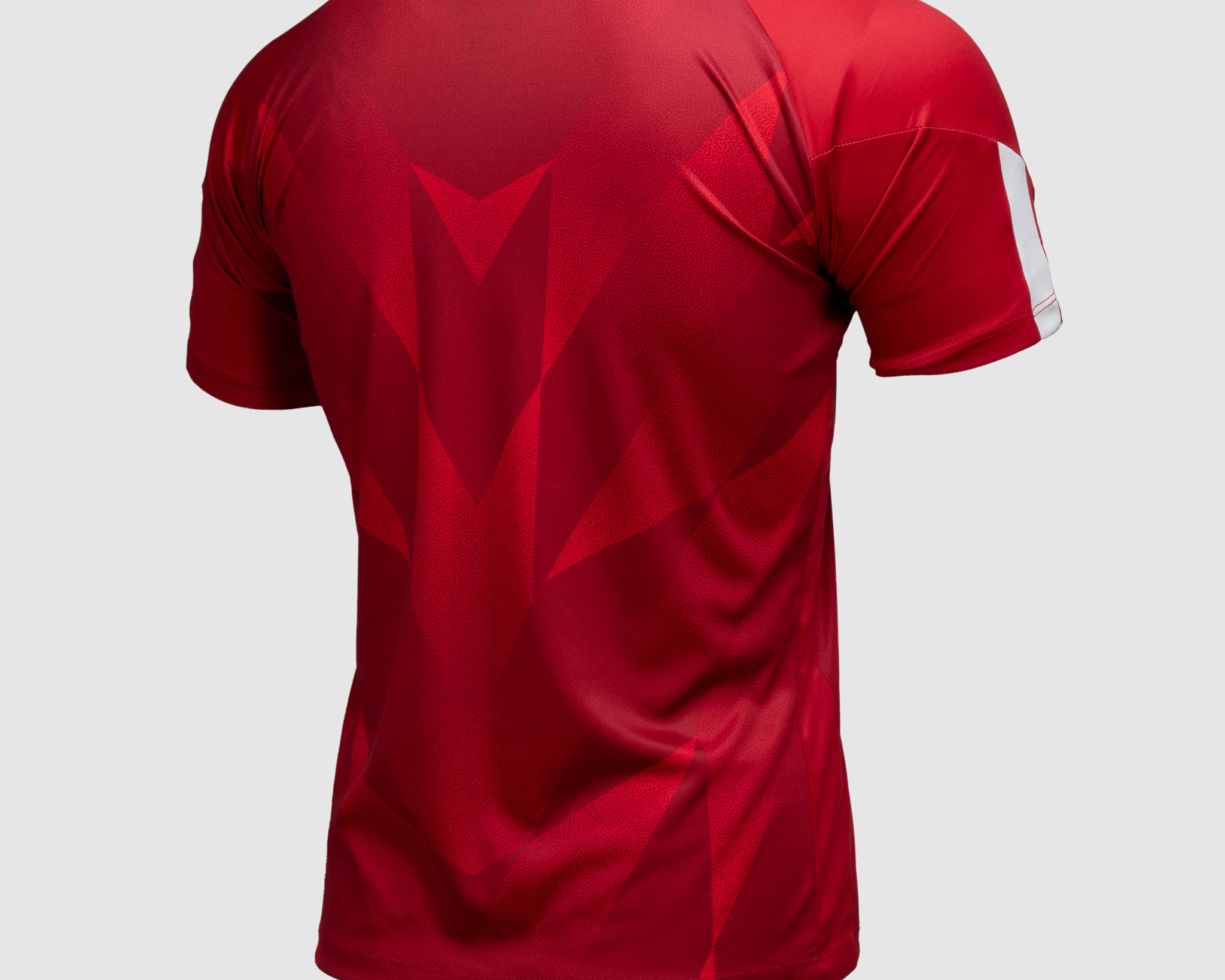 Wales-RL-24-25-Quadrigo-Tee-Red-alt1.png