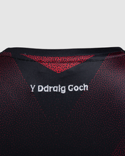 Wales RL 24/25 Quadrigo Vest