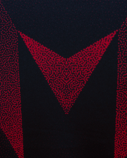 Wales RL 24/25 Quadrigo Vest