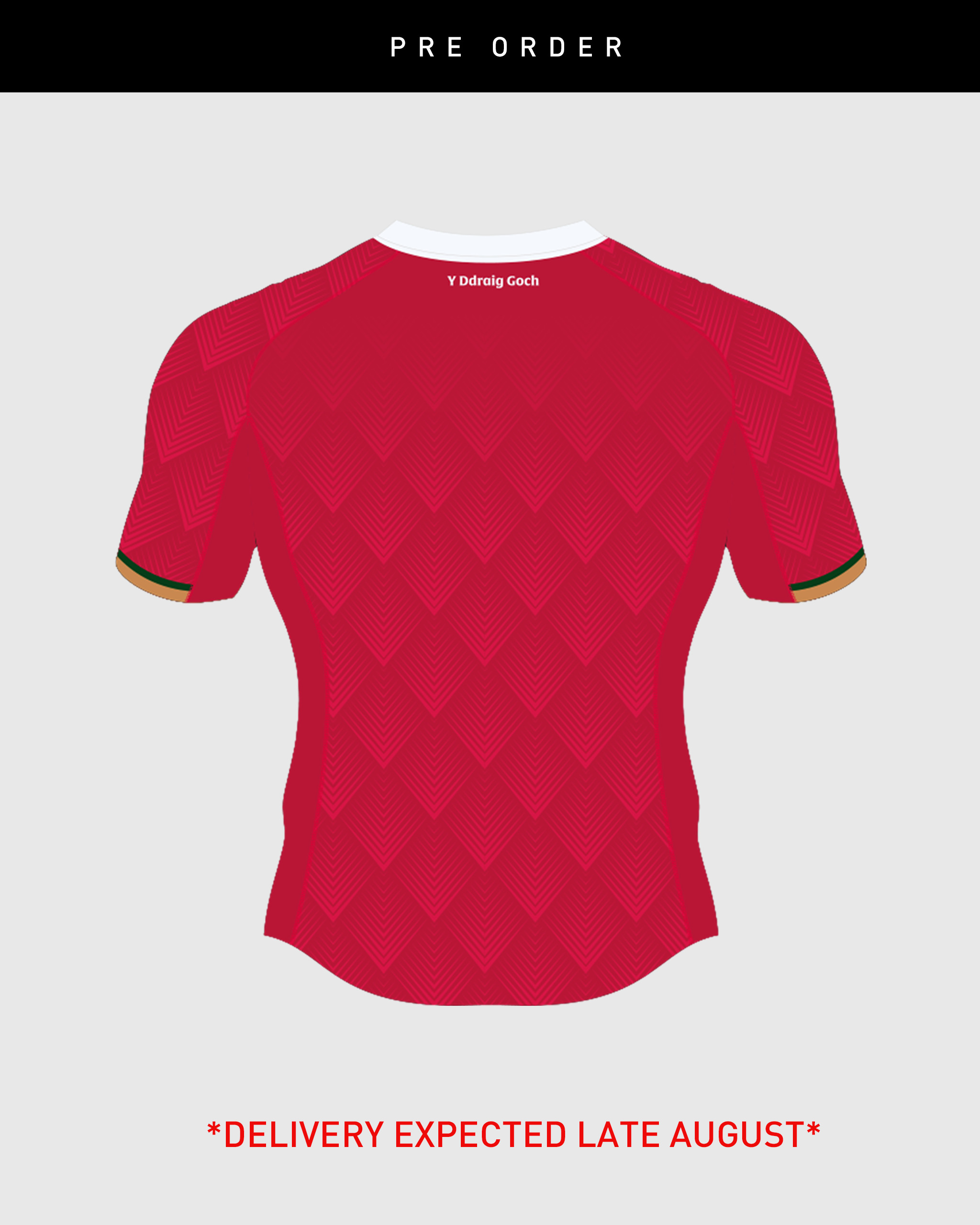Wales-Rugby-League-u17-Playing-Shirt_2.png