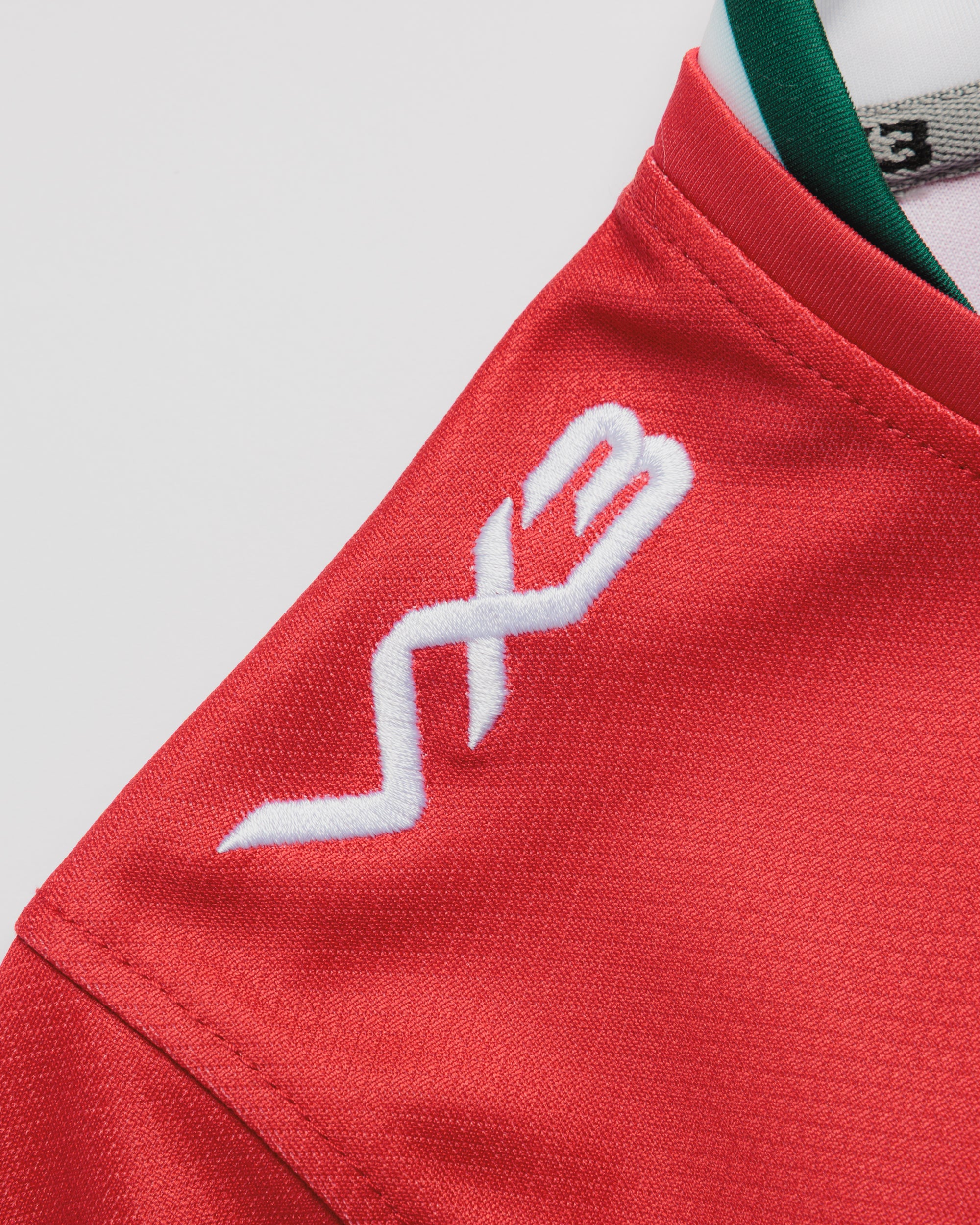Wales Rugby League 2026 World Cup Replica Shirt Youth