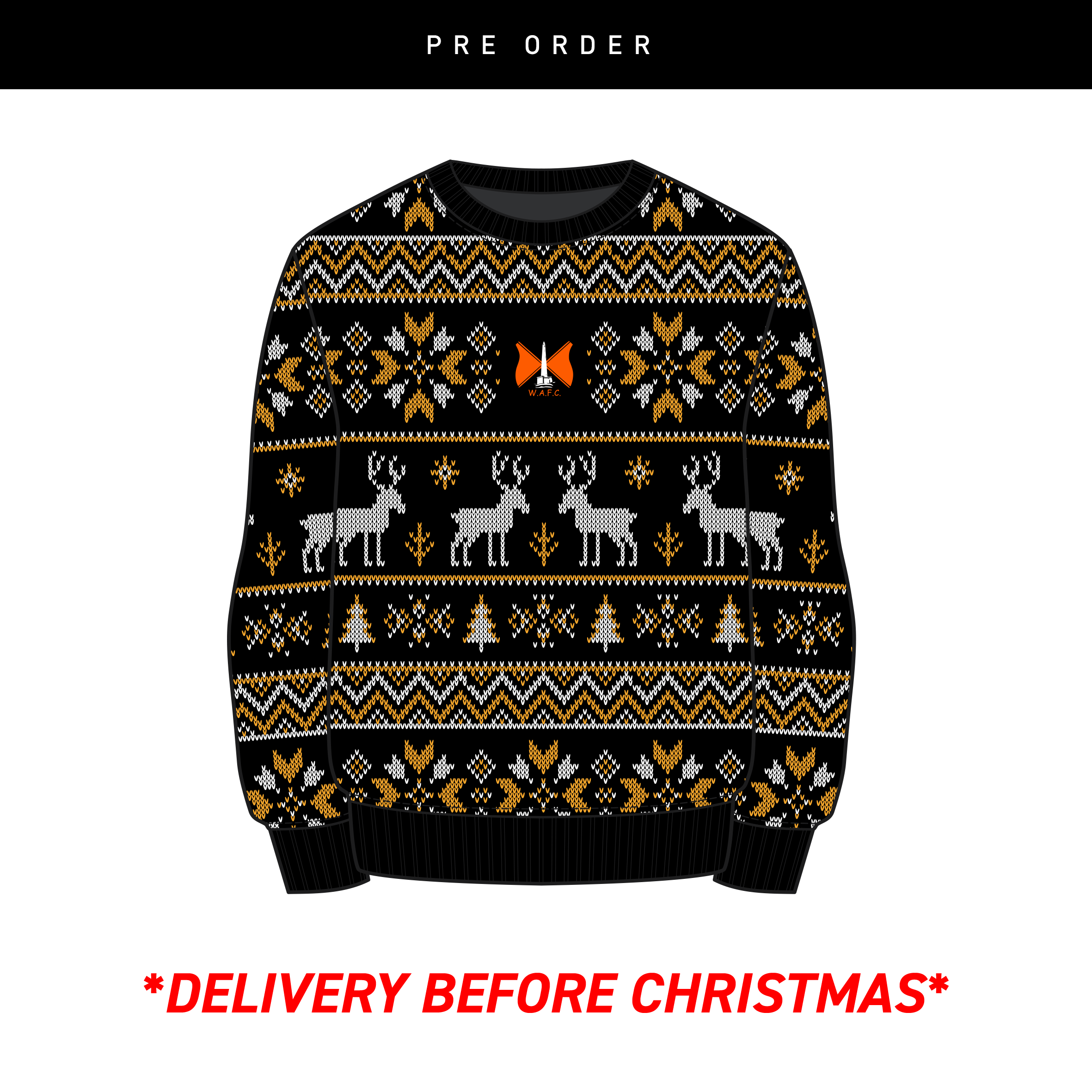 Wellingtonxmasjumper.png