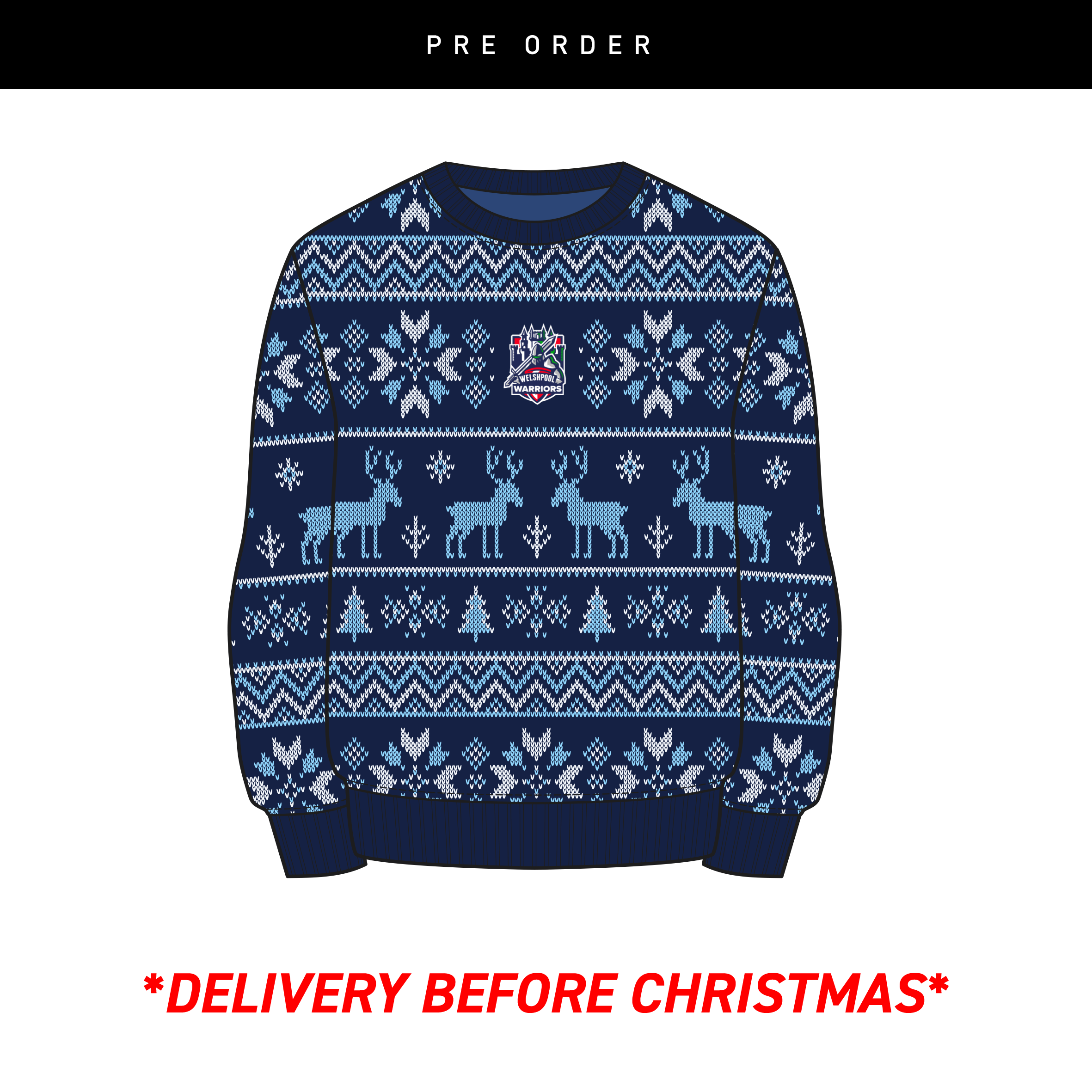 WelshpoolWarriorsxmasjumper.png