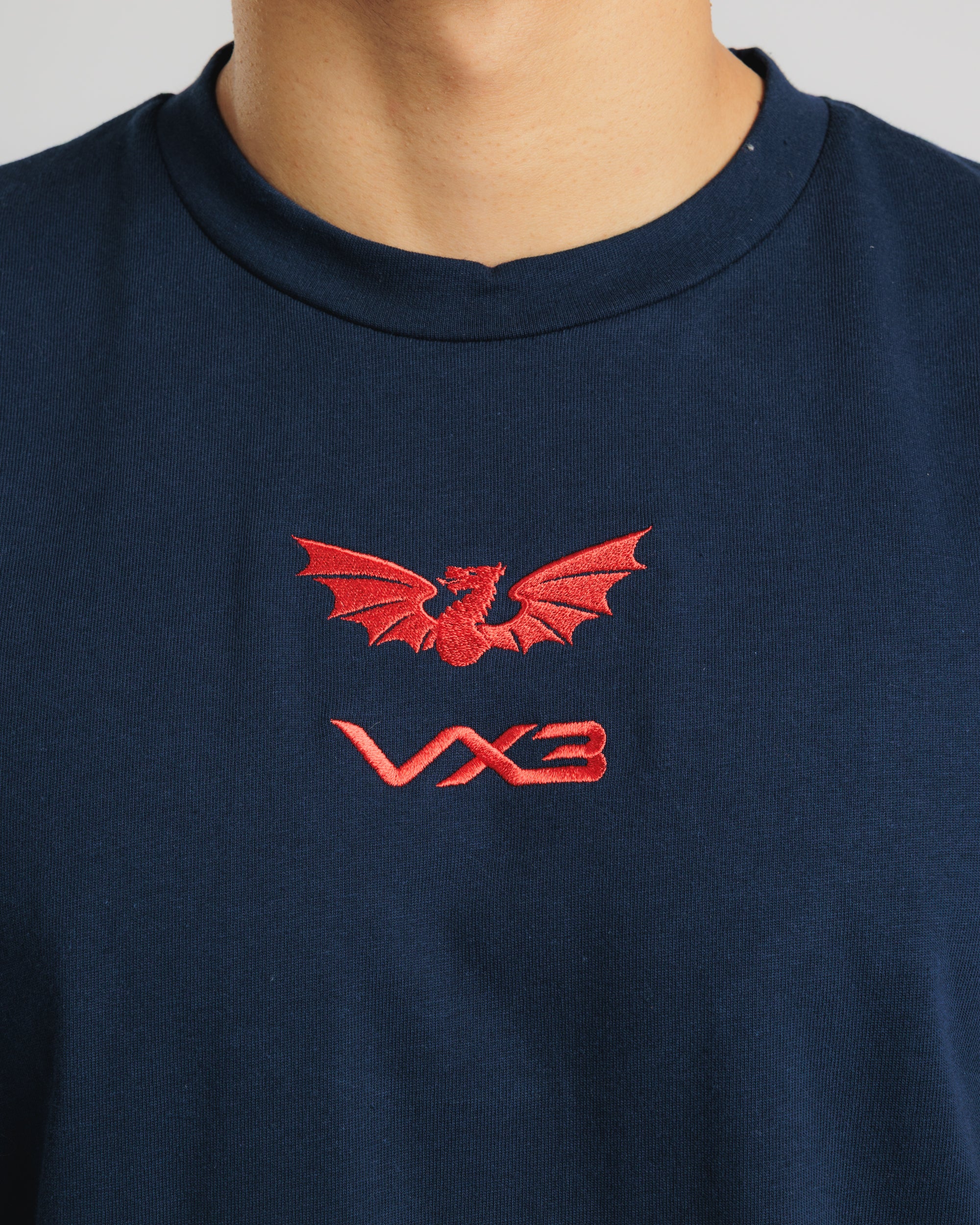 Scarlets 25/26 EST Tee