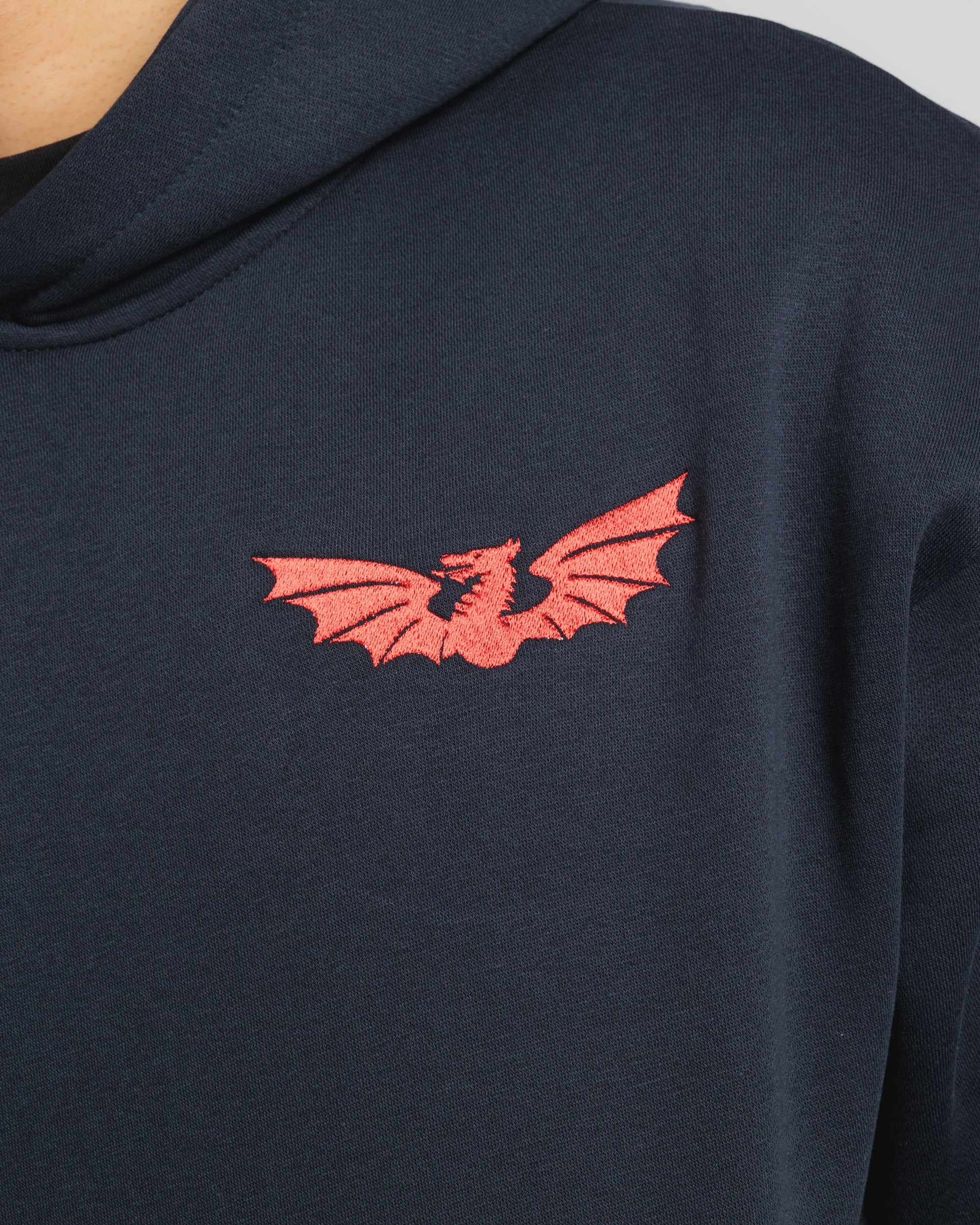Scarlets 25/26 EST Hoodie