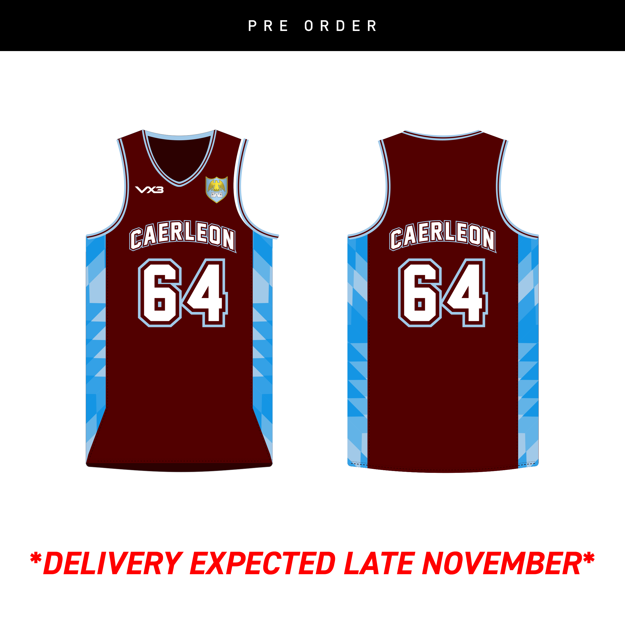Caerleon Comprehensive Basketball Vest