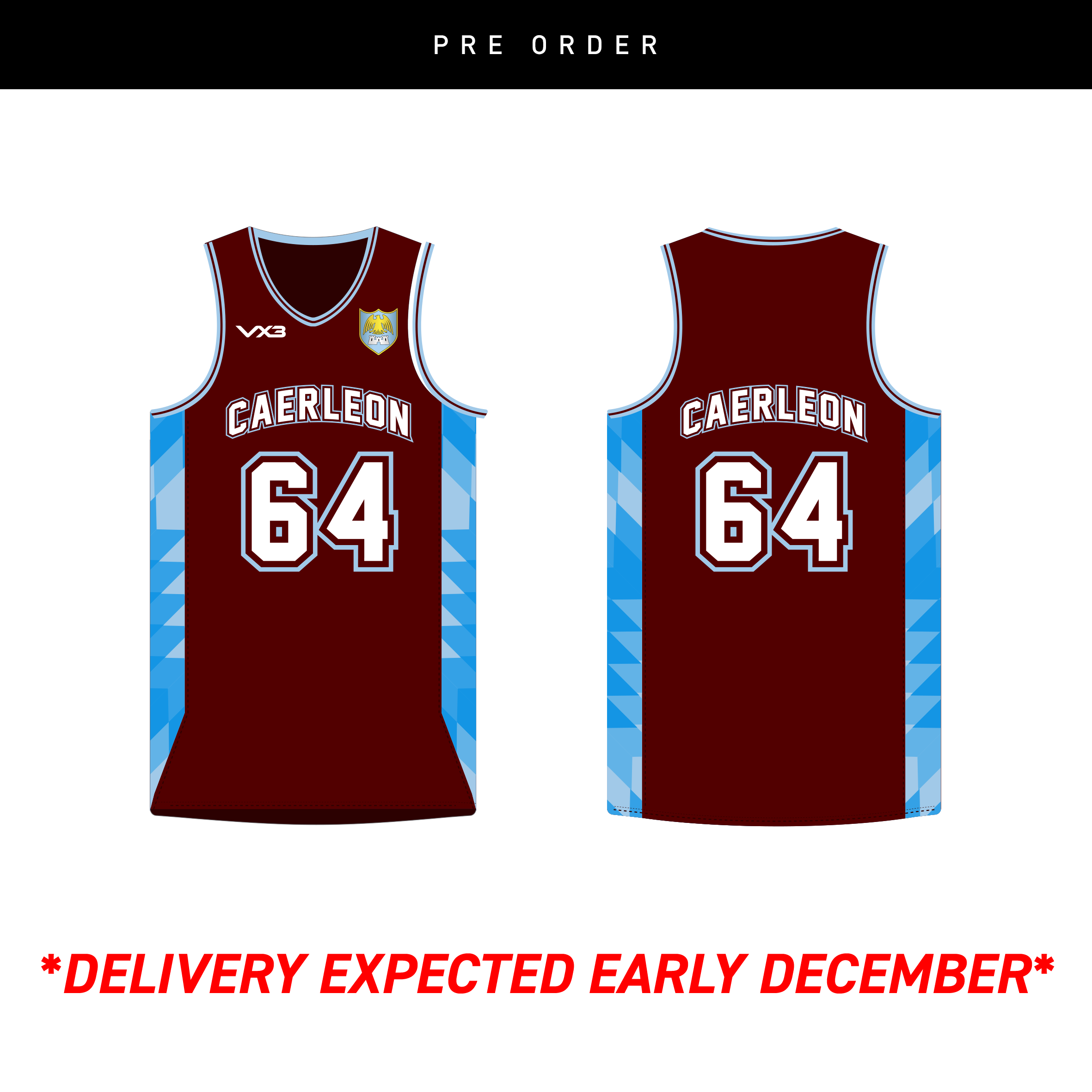 Caerleon Comprehensive Youth Basketball Vest
