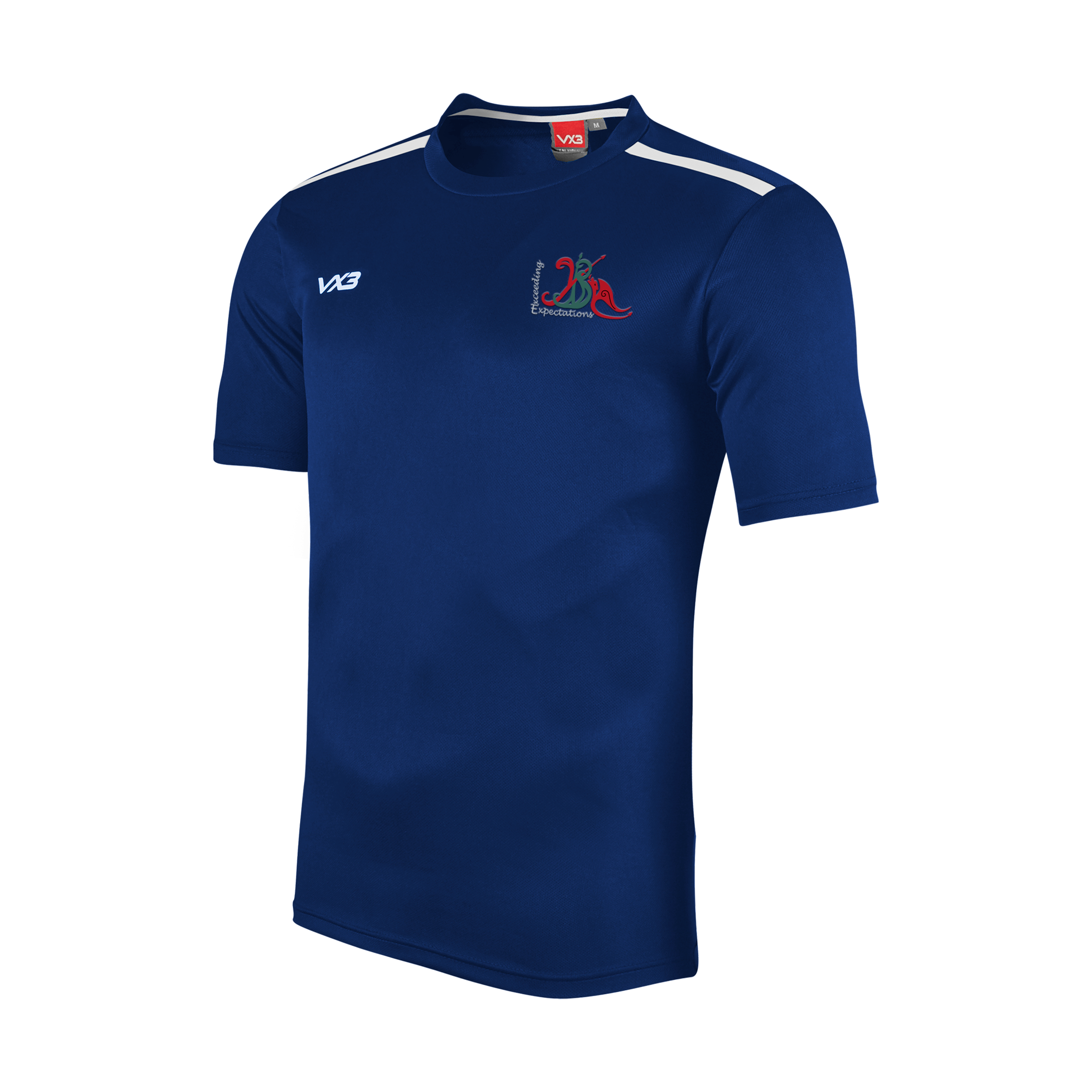 Brynllywarch Hall School Fortis Youth Tee