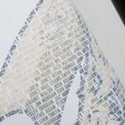 Carmarthen Warriors Sublimated Tee