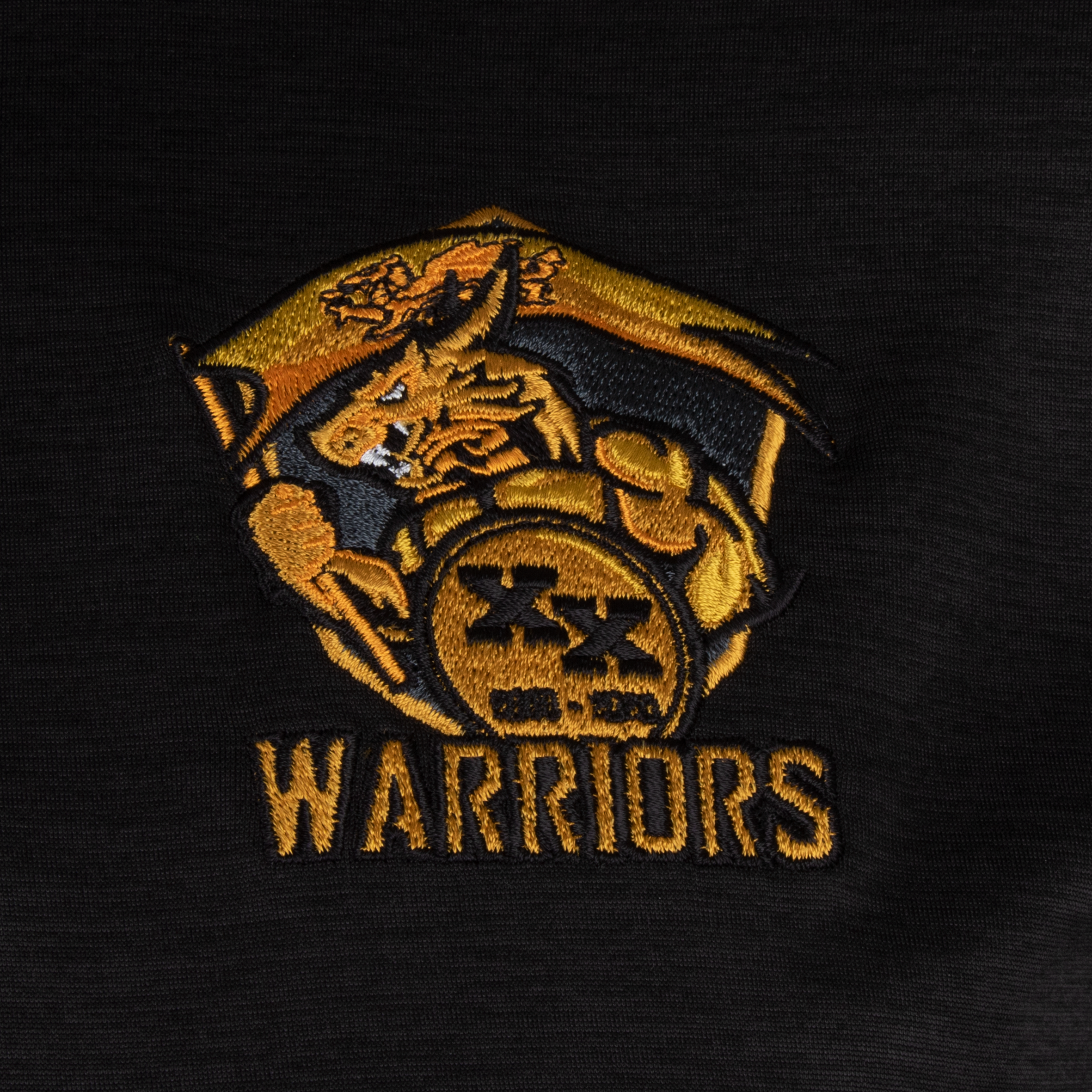 Carmarthen Warriors First Layer