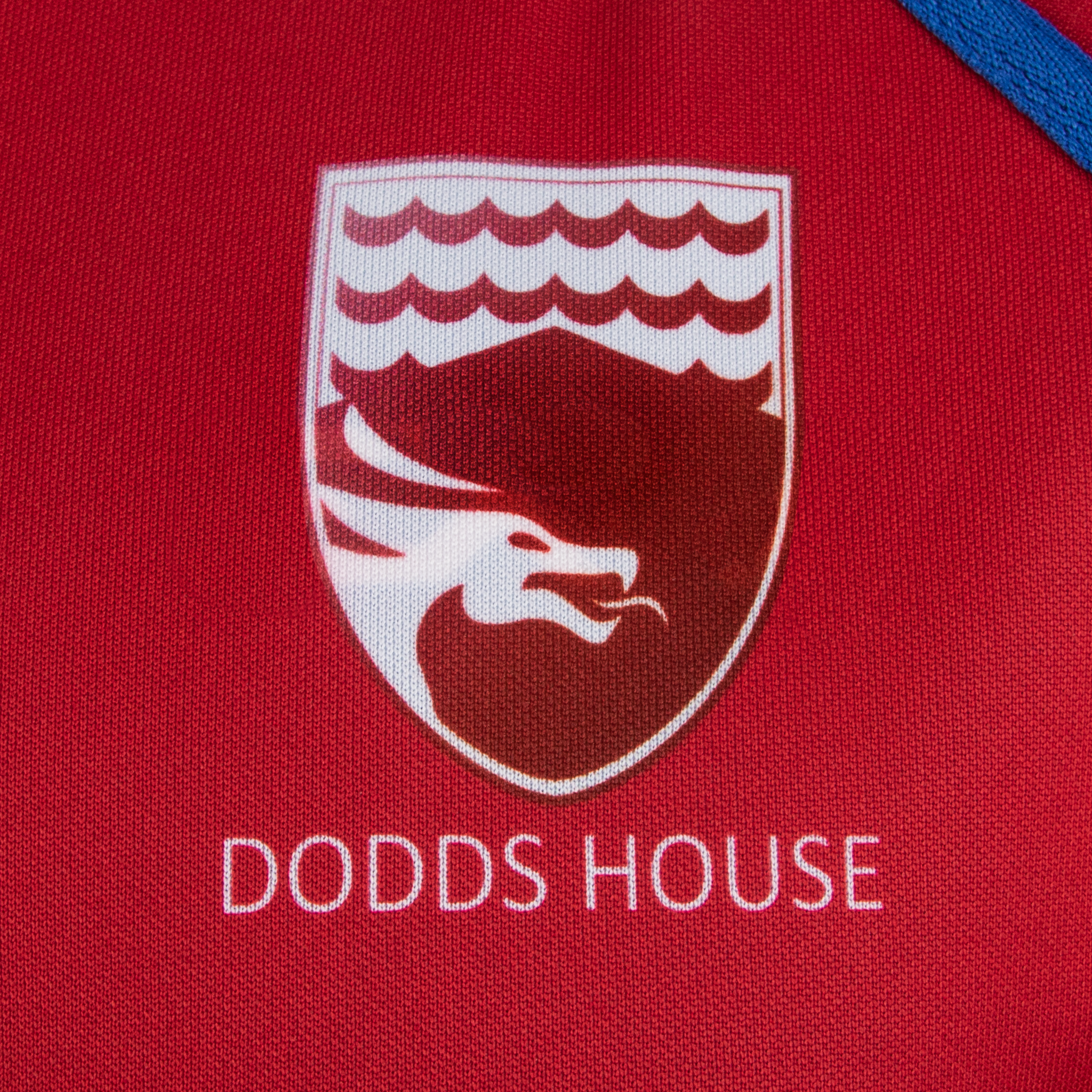 Wirral Grammar School Dodds House Reversible Playing Shirt
