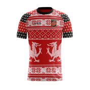 Dragons 20/21 Youth Fairisle Christmas Tee