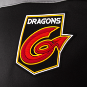 Dragons Training Hoodie Youth 21/22