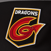 Dragons Training Sweatshirt Youth 21/22