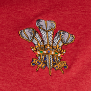 Help for Heroes 21/22 Wales Youth T-Shirt