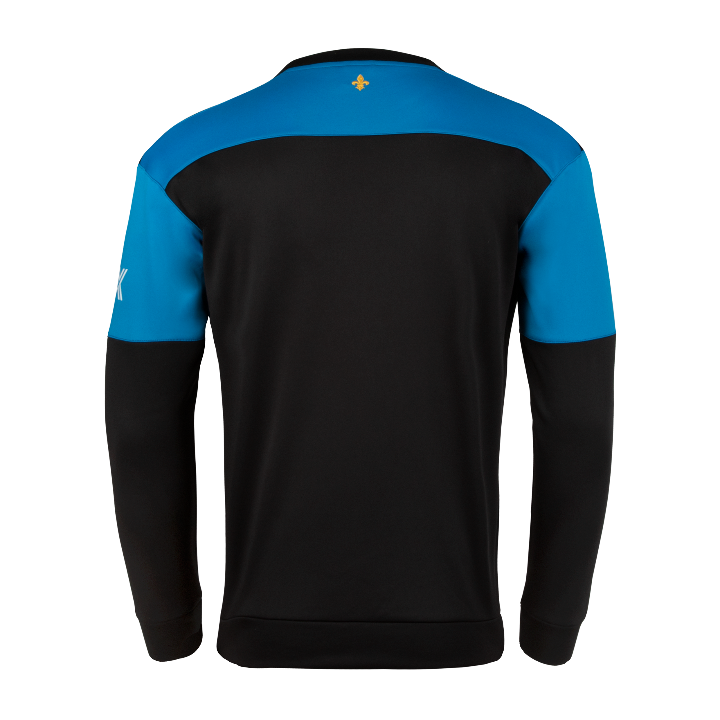 Dragons Training Sweatshirt 22/23 Youth