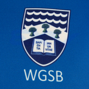 Wirral Grammar School Barber House Reversible Playing Shirt