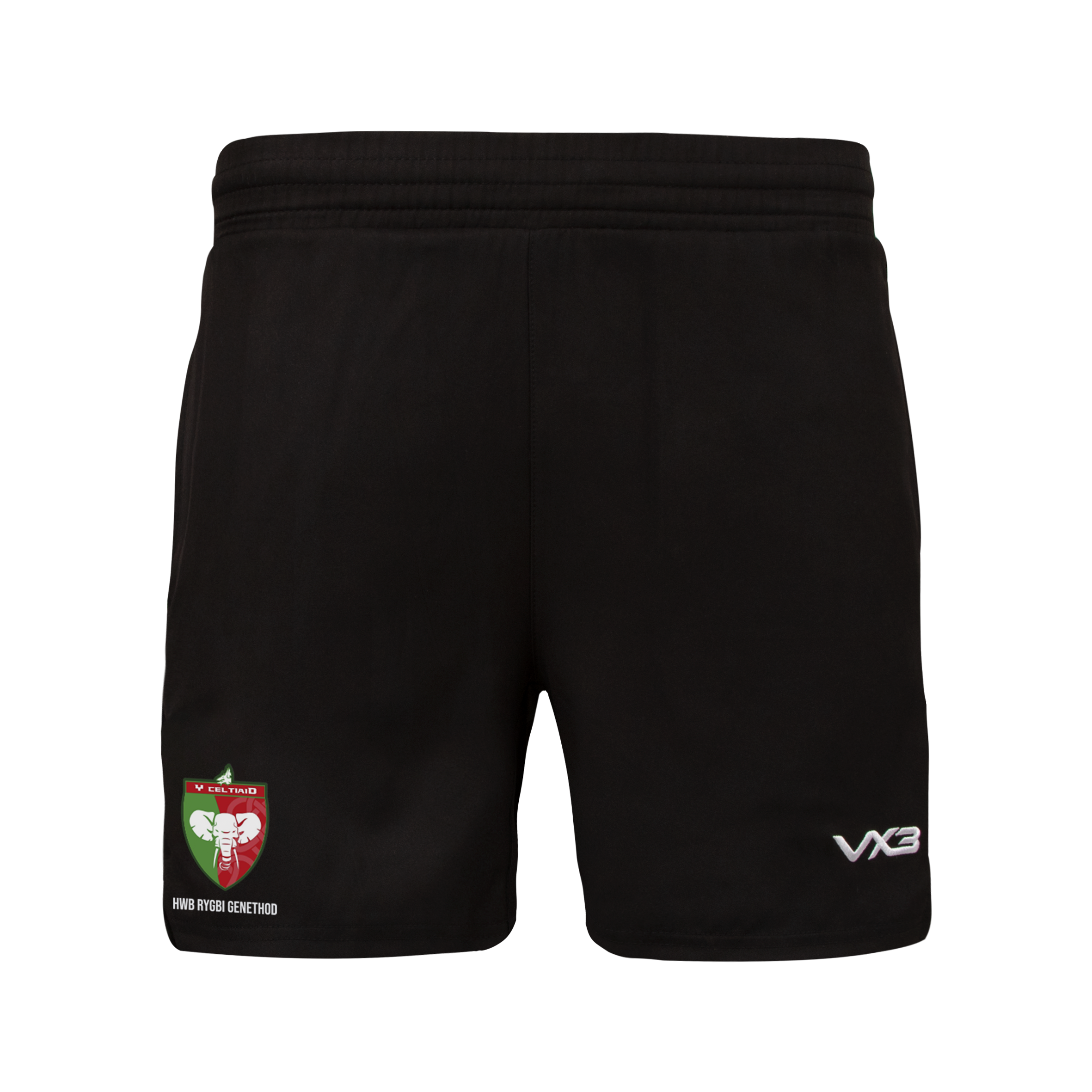 Y Celtiaid Ludus Youth Gym Shorts