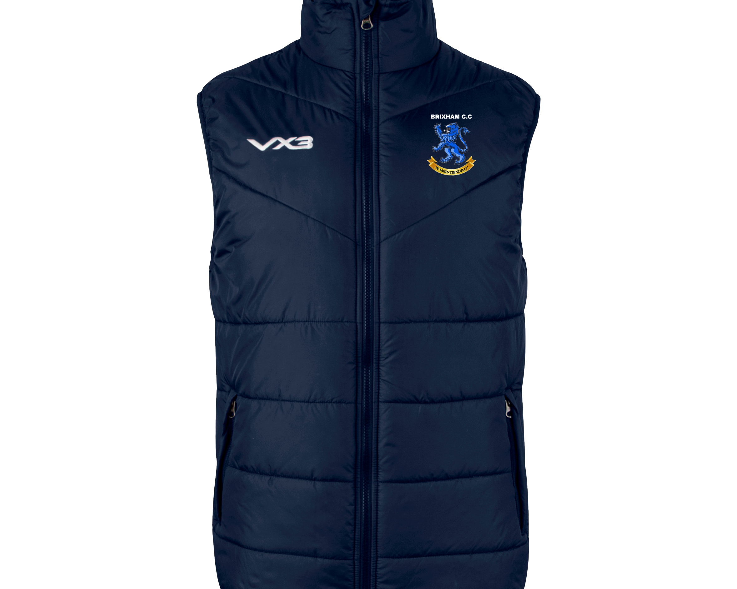 brixham-cricket-2021-VEntus.png